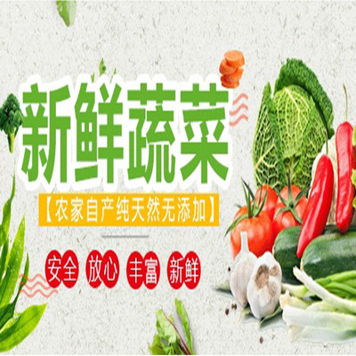 清新區(qū)食材批發(fā)與蔬菜配送服務(wù)報(bào)價(jià)指南 大型市場(chǎng)直供，食堂送菜無(wú)憂